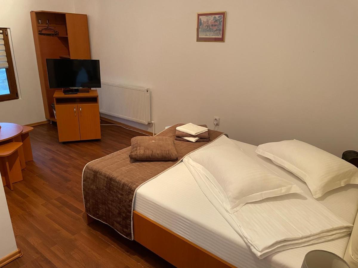 Pensiunea Marmis Borbátvíz Kültér fotó
